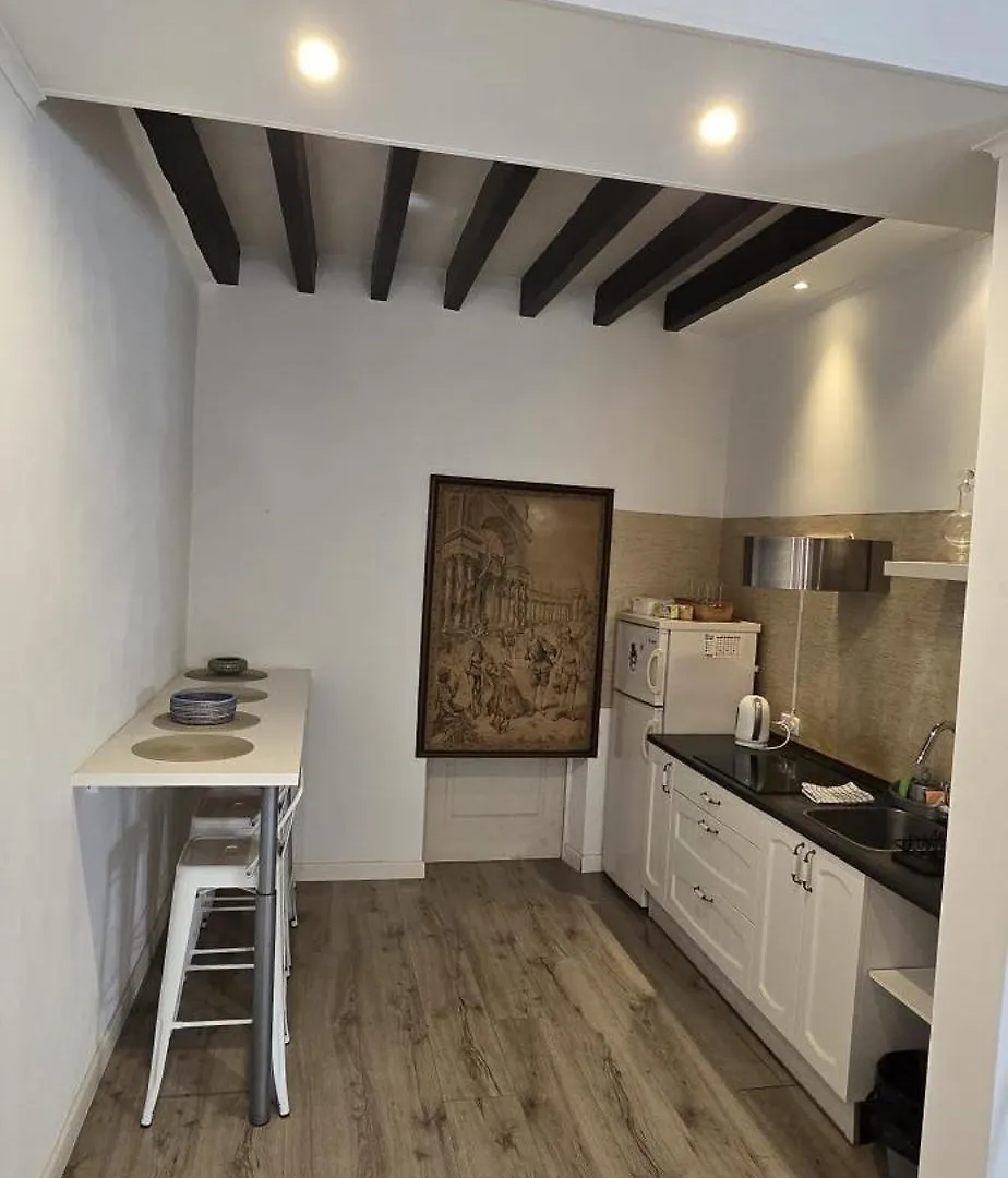 Loft1 Apartment Palma de Mallorca 0*,  Spain